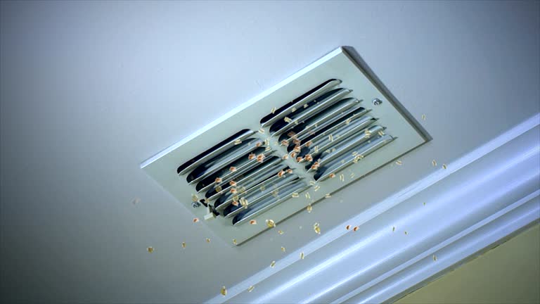 Best Affordable Duct Cleaning Services  in Harrisburg, PA